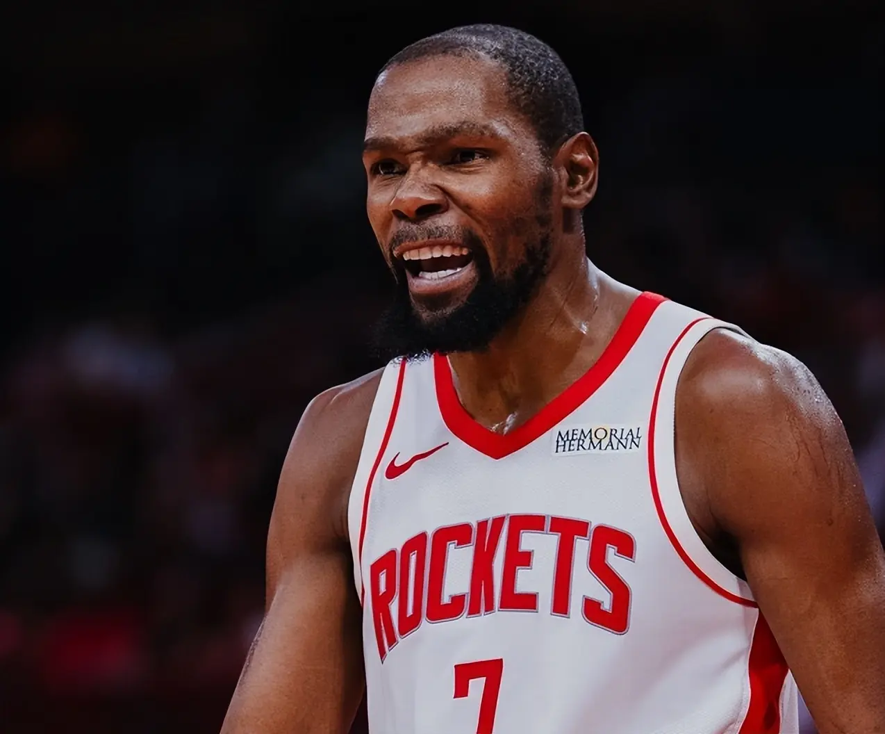 前续约合同, entit, 多项神级里 前续约合同, entit, 多项神级里