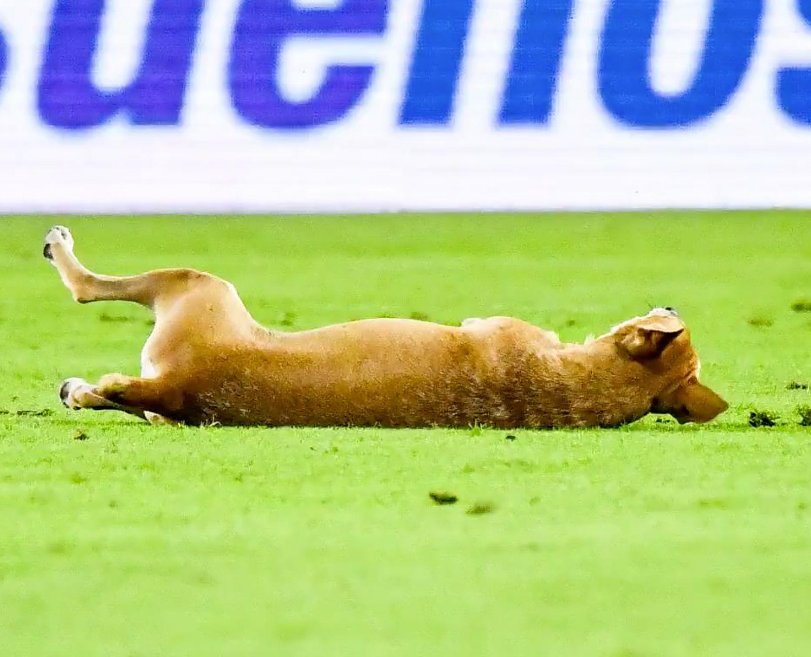 帕切科有点, ue 帕切科有点, ue