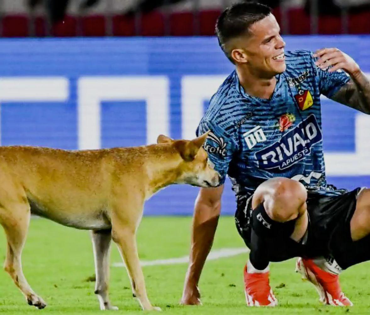 操作更是离, 帕切科痛苦 操作更是离, 帕切科痛苦